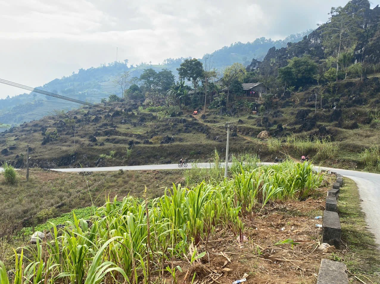 Randonnée vélo Cao Bang : Épopée au Cœur du Géoparc Mondial UNESCO